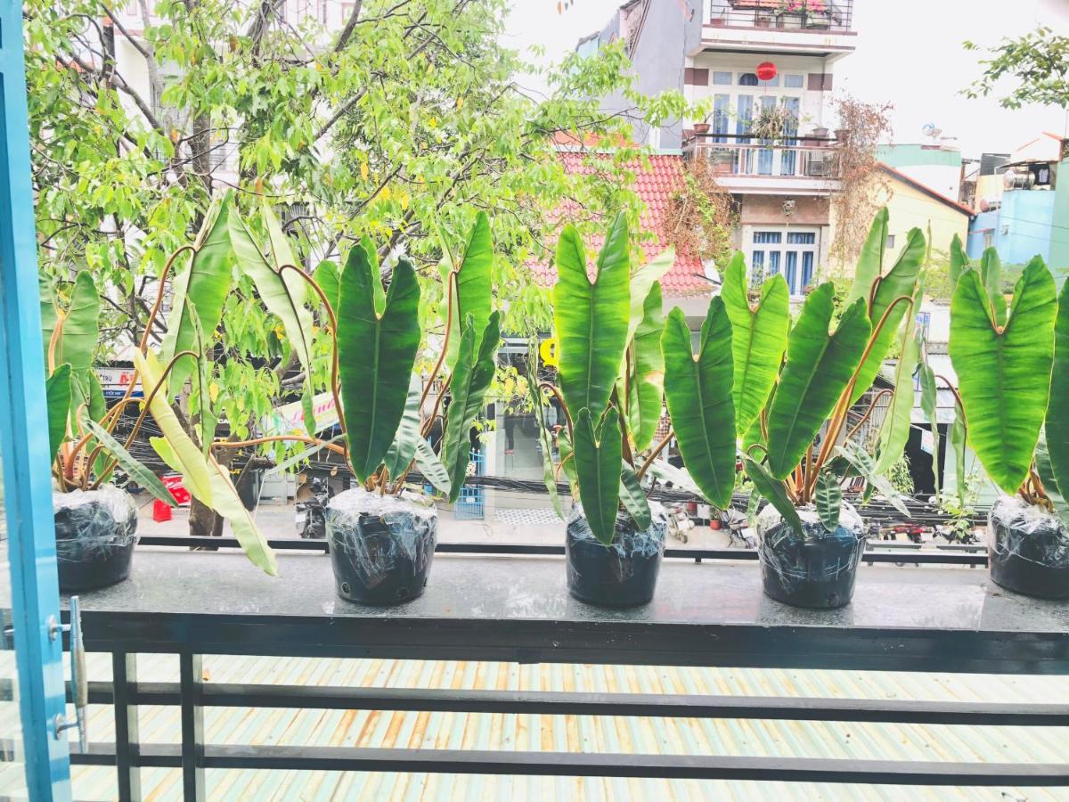 An'S Family Homestay Hoi An - 5Mins Walk To Hoi An Ancient Town Eksteriør billede